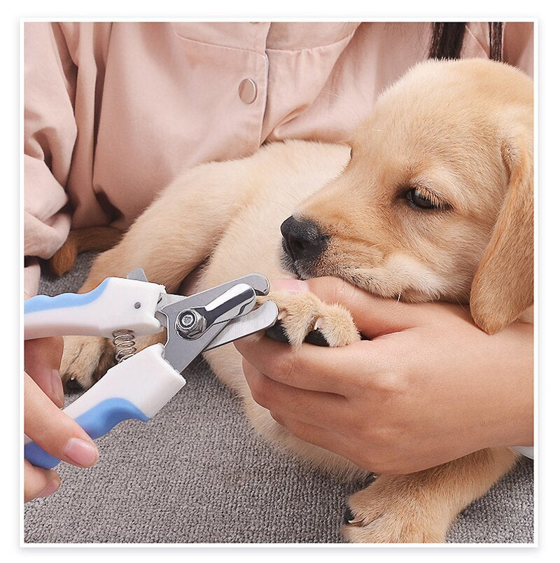 PET CLAW NAIL TRIMMER - HOME & LIVING | JIAG STORE Lifestyle Home Improvement