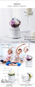 PRESERVED FRESH FLOWER HUMIDIFIER -  | JIAG STORE Lifestyle Home Improvement